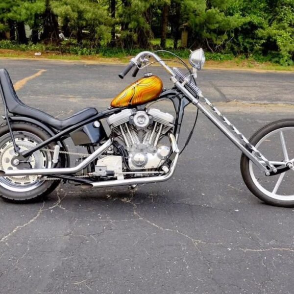 2000 Harley Davidson Sportster Chopper